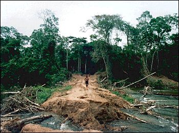 deforestacionbrasil